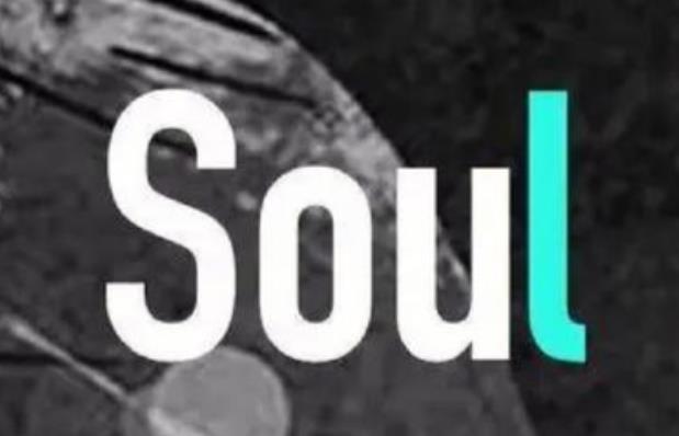 ������ģ�� Soul App SoulX�����汾�Ա�